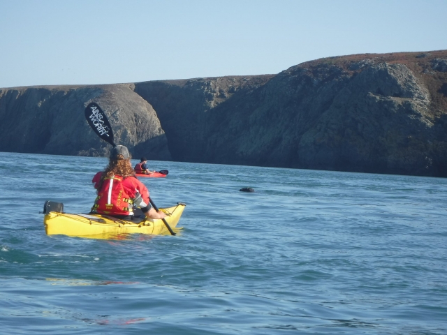  Gruppo di persone in kayak! 