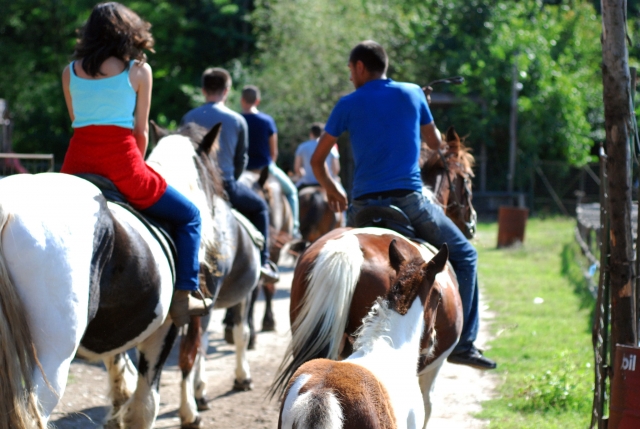  Grupo de amigos divirtiéndose con los caballos 