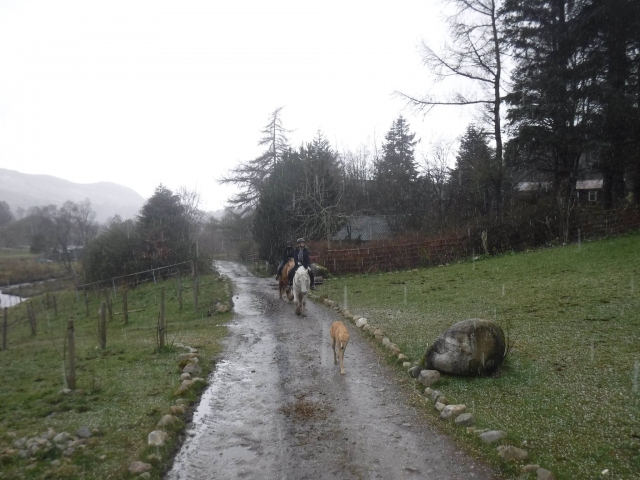  Trekking et randonnée en sentier 
