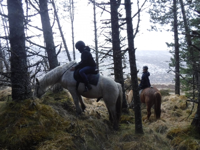 Deux femmes s'amusant avec nos chevaux 
