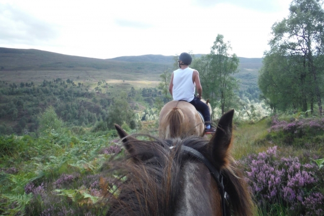  Personnes appréciant les fleurs pendant le sentier équitation 