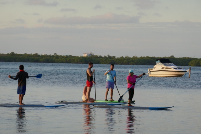  La perfezione del paddle a Exmouth
