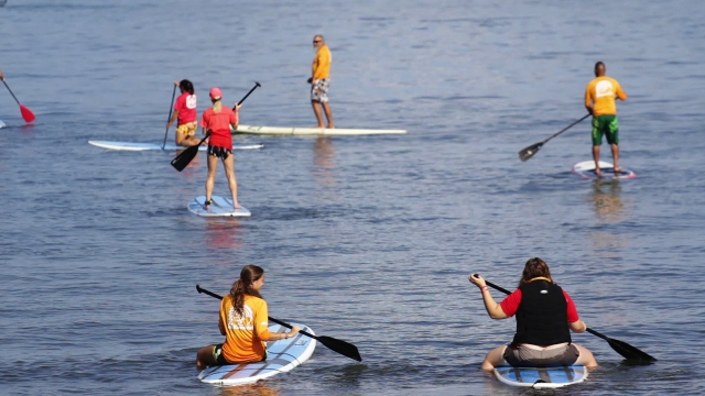  Luogo popolare per gli sport acquatici 