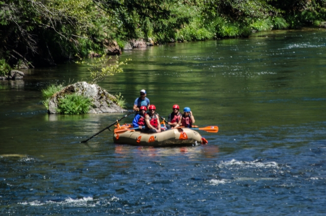 Group of people wearing blue and red equipment while rafting
