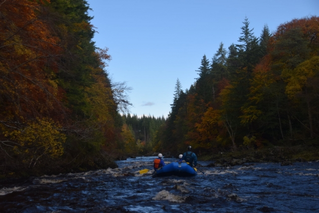 a group having fun while rafting surrounded by Scottish forest