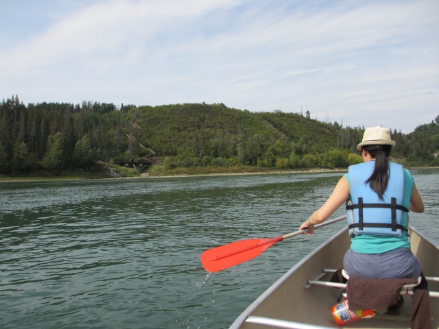 Woman wearing hat and blue buoyancy aids canoeing on the river