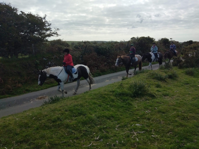  4 amigos montando caballos blancos y marrones en Bodmin Moor 