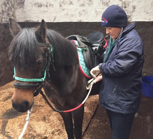 Mulher de suéter preto preparando o cavalo para uma sessão 