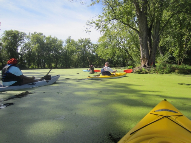  Drei Personen mit schwarzen Auftriebshilfen beim Kajakfahren auf dem Fluss