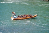 Viaggio charter in RIB a Salcombe per 50 minuti