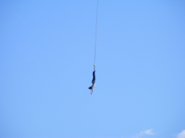 Salti con l'elastico da un ponte 