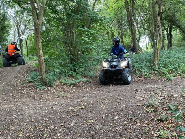  attraverso la foresta 