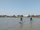 Sessione SUP privata nel porto di Christchurch 1 ora