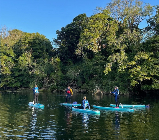  Ven a remar con tus amigos