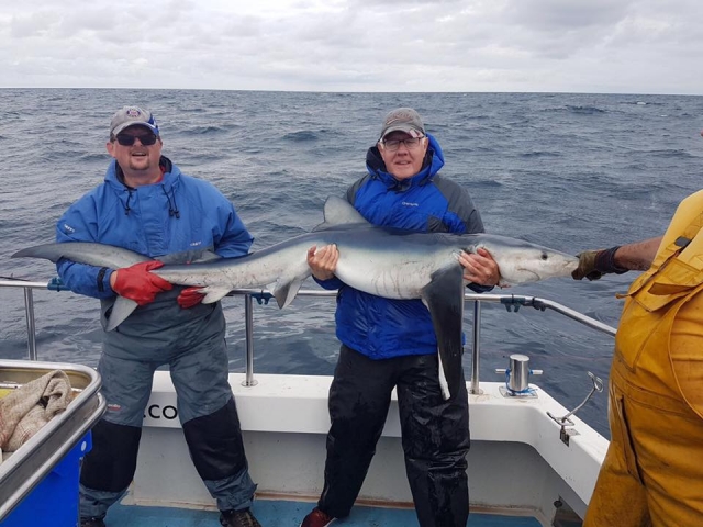  Pesca in Cornovaglia 