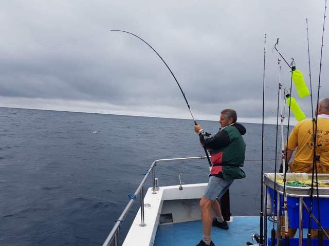 Cercando di catturare un pesce 