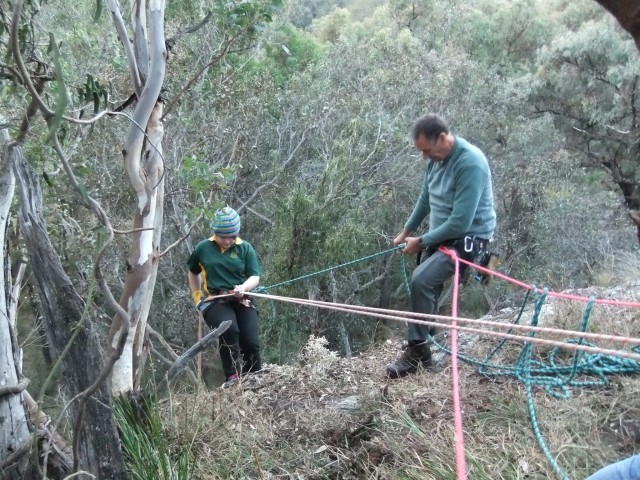 Dare to try abseiling