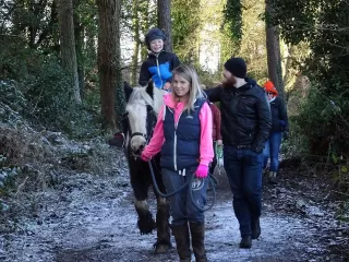 Pony Trekking para iniciantes no Condado Down 1h