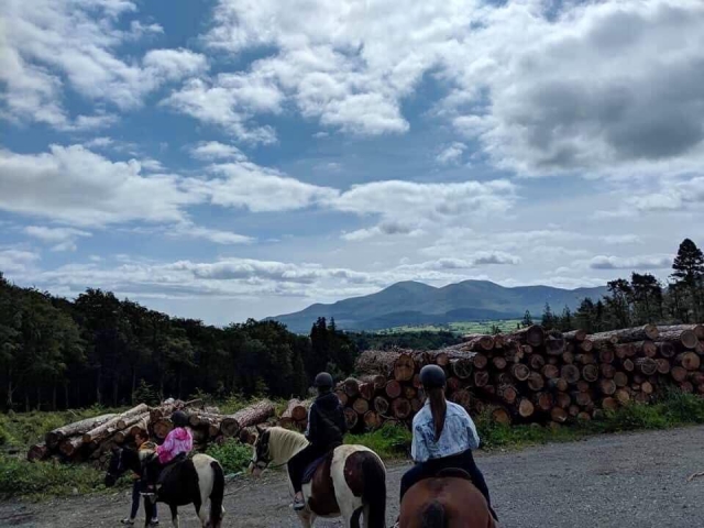  Paseo en pony en el condado de Down
