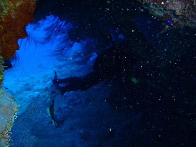  Explorer la nuit 