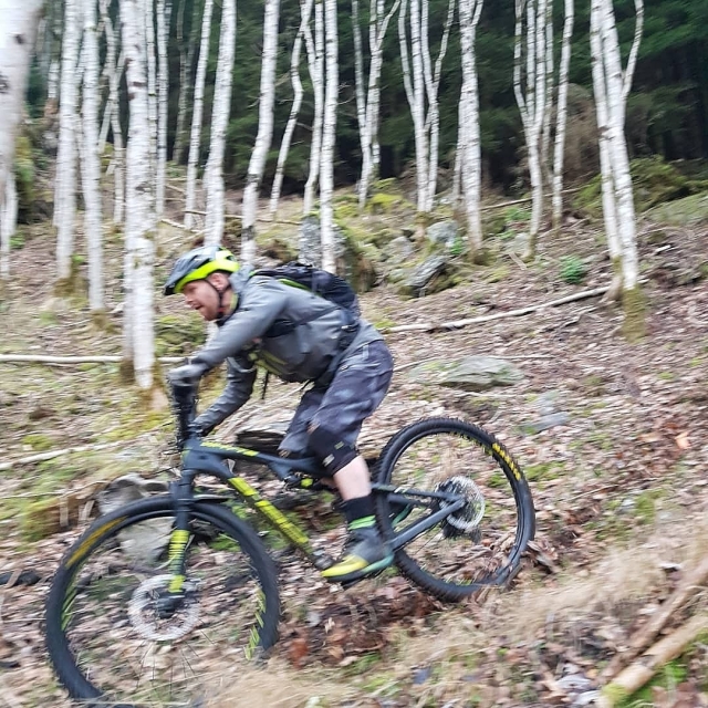  Parcourez les sentiers de VTT forestiers 