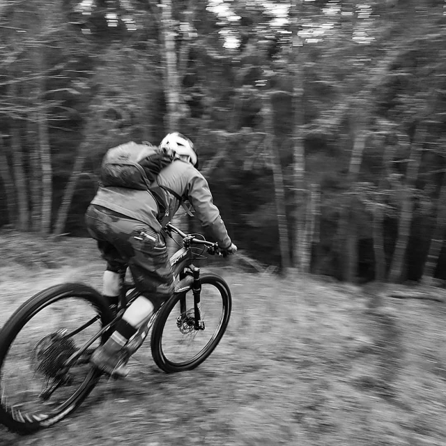  Explorez les magnifiques forêts depuis votre vélo 