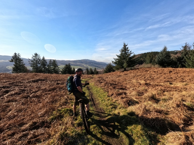  VTT pour adultes 