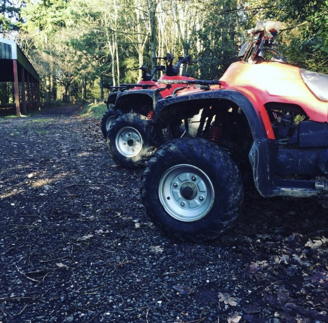  Il quad è divertente 