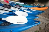 Excursion guidée en kayak sur la rivière Frome pendant 1h30