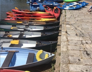 Full-Day Canoeing for Groups at The Frome River