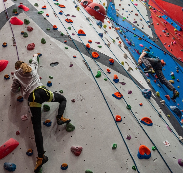 Young climbers