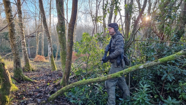 Fun time in the woodland