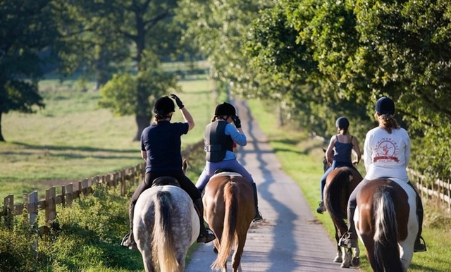  Fare un giro a cavallo al Windsor Great Park 