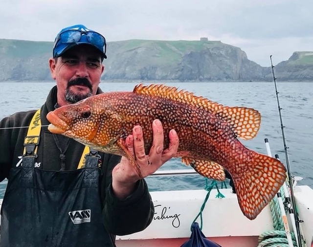  Ein glücklicher Angler mit einem wunderschön gefangenen Ballan-Lippfisch 