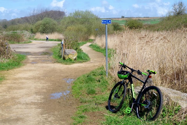  Noleggio biciclette nel Dorset