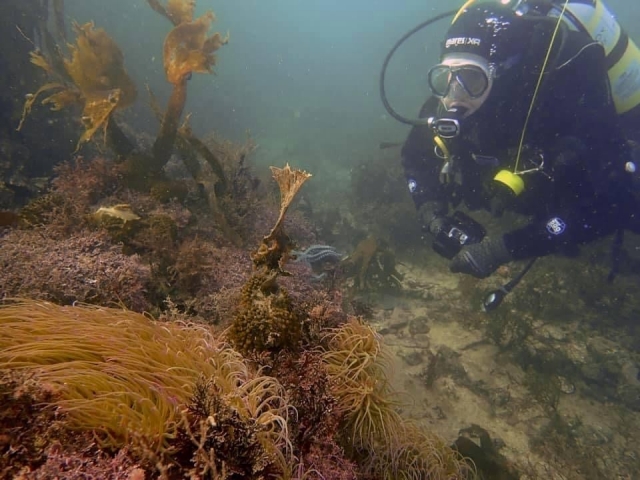 Cours de plongée sous-marine à Plymouth 