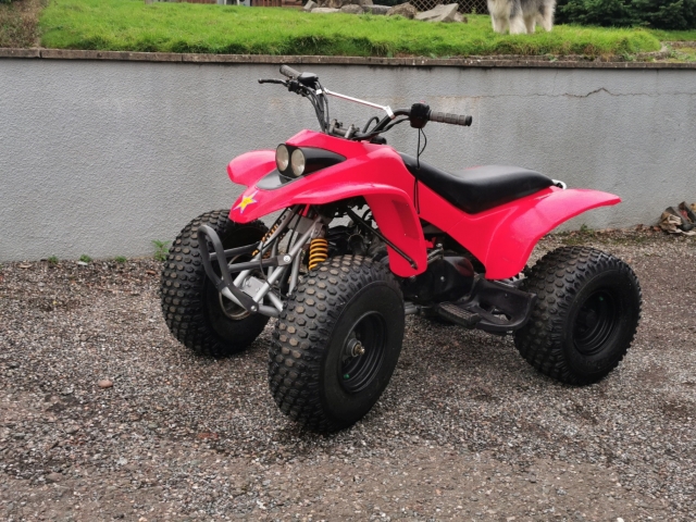  Wir haben ein Quad für jeden 