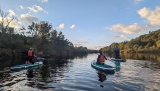 Willowgate Lagoon 1.5 小时 SUP 品鉴会