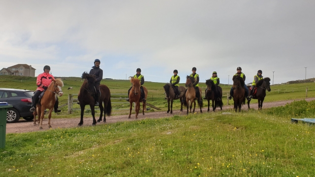 Riding a cavalo em Shetland 