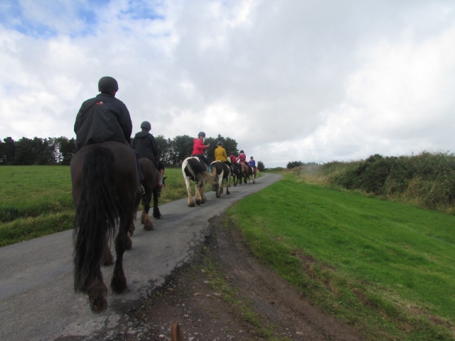 Get a horse riding session