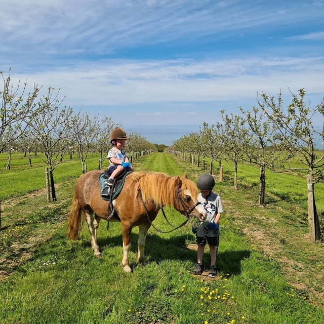  Pony Riding em Devon