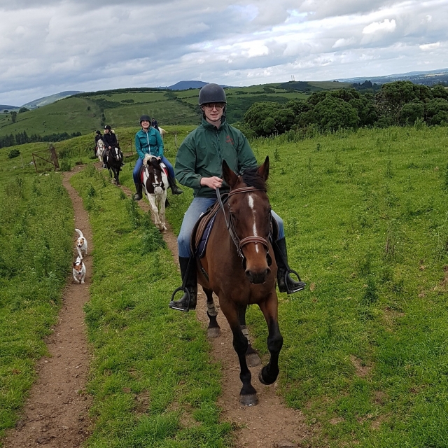  Horse Trekking na Irlanda 