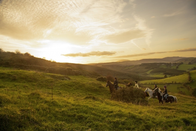  Trekking à Tipperary 