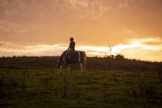 Experience this unique riding session