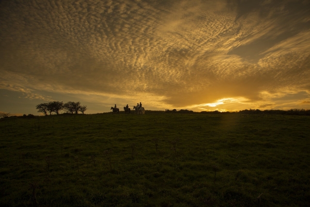  Irish Adventures 