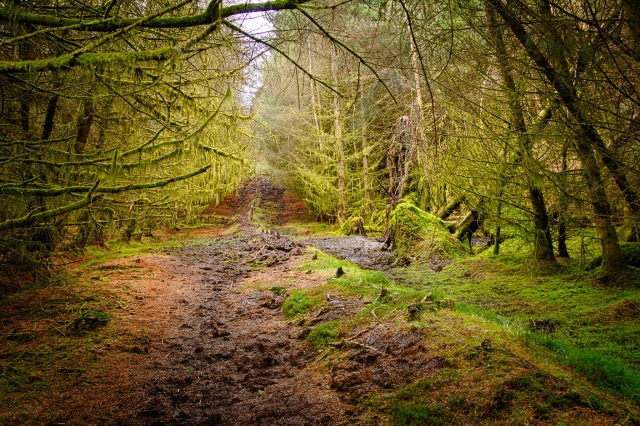 Muddy paths ahead!