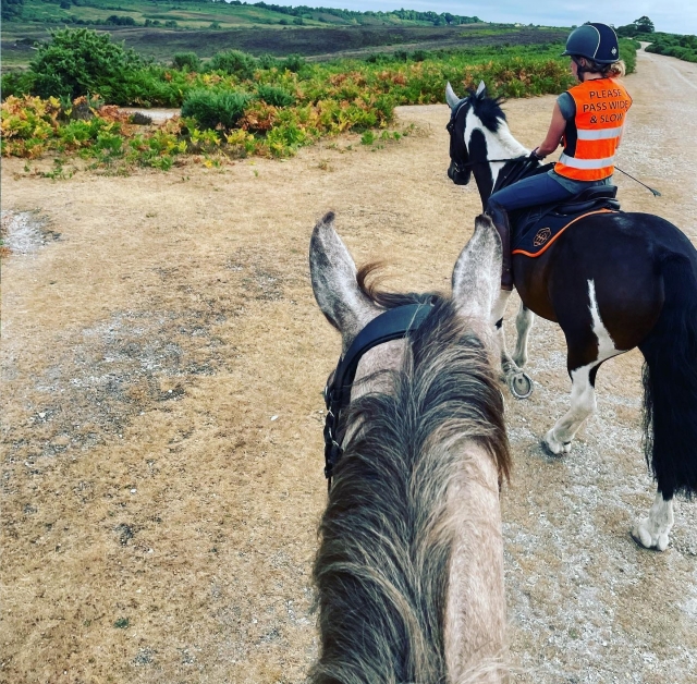  Hacking-Sessions in New Forest