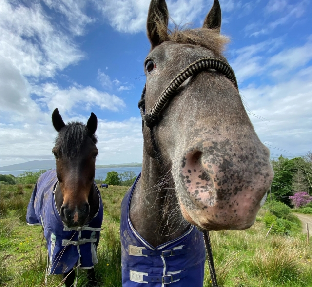 Venha e junte -se a nós agora