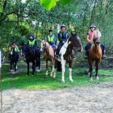 Avançado de hackers de cavalos em Ashdown Forest por 3h