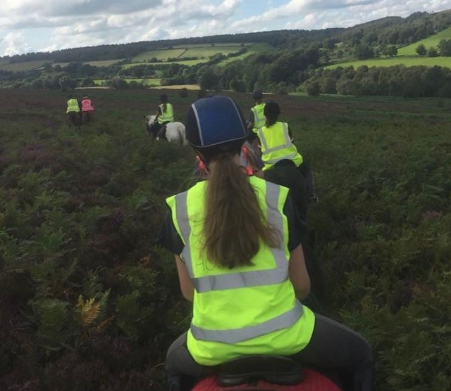 Exploring the moor